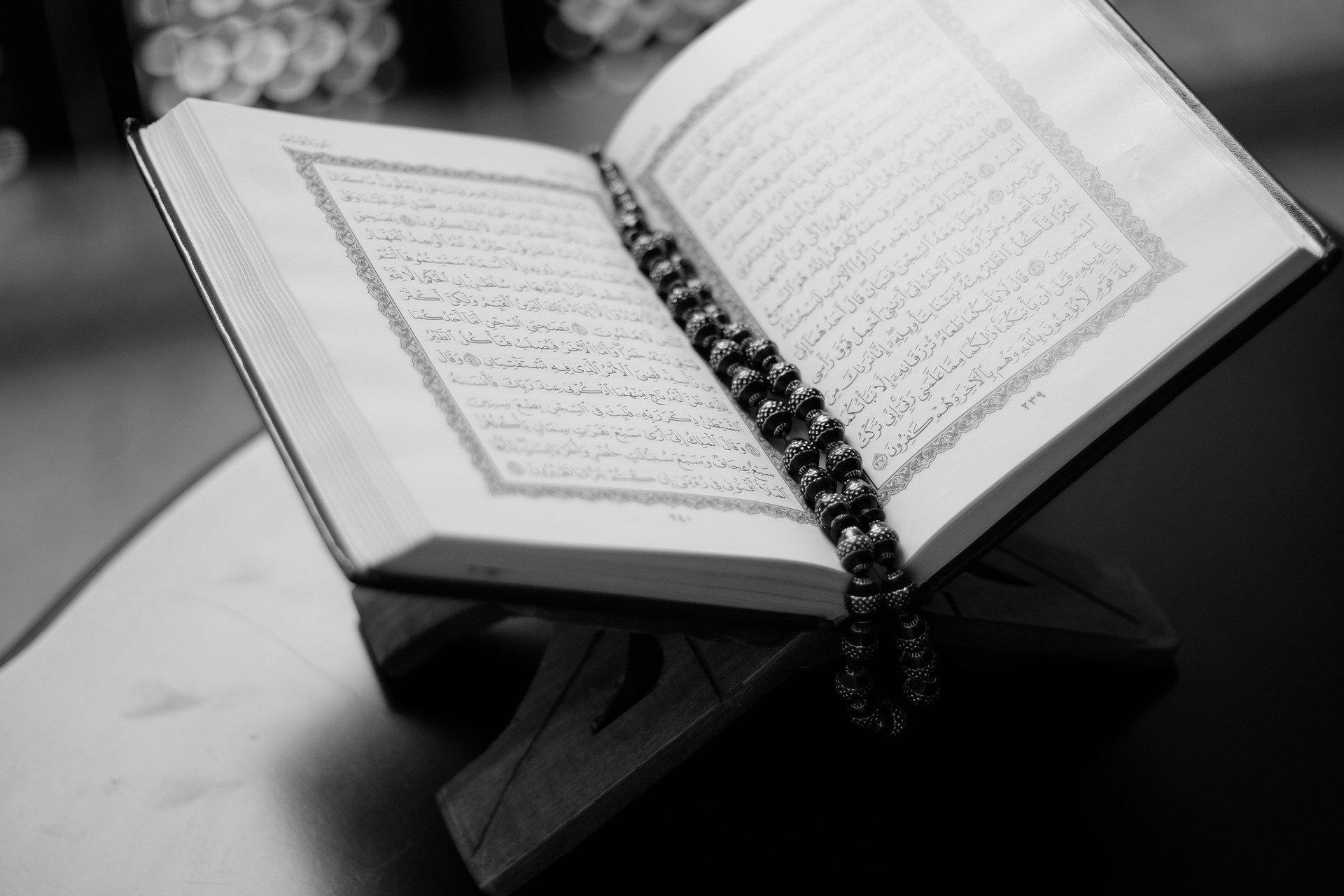 Zulm İle İlgili Ayetler Nelerdir? Zulm İle İlgili Ayetler Nelerdir?