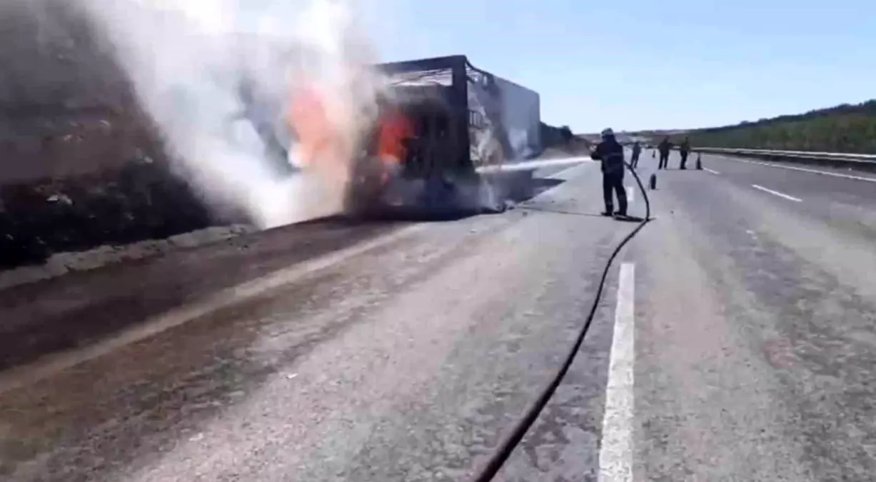 Birecik’te Saman Yüklü Tırda Yangın