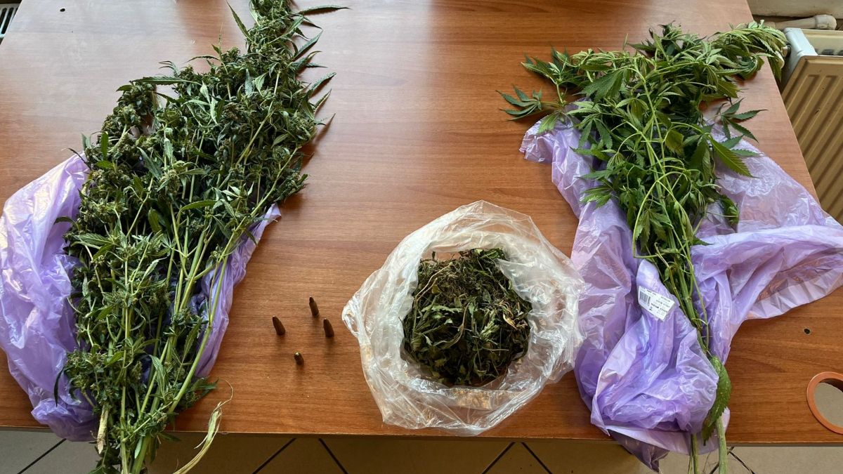 İstanbul’da uyuşturucu operasyonu: 2 gözaltı