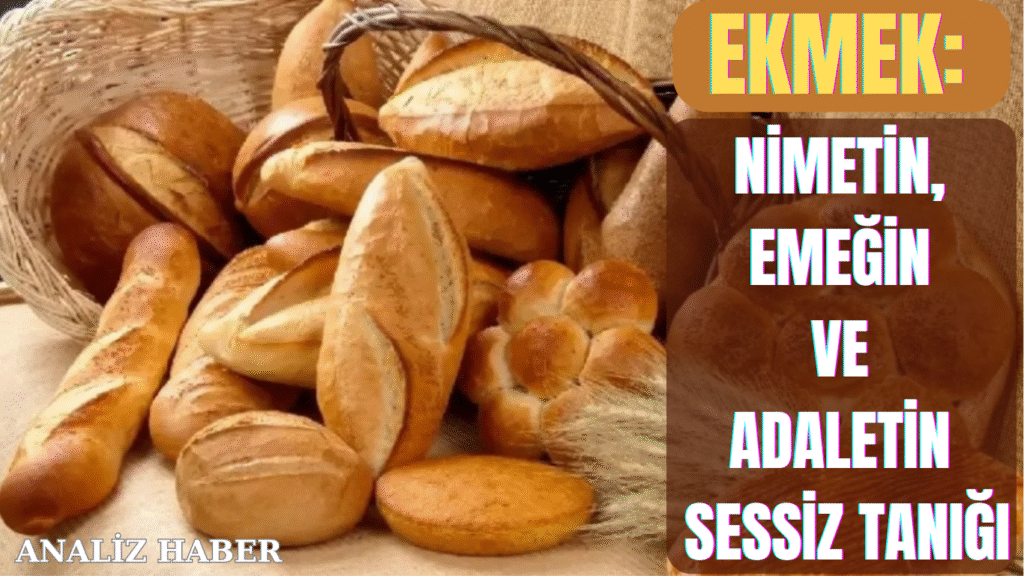 Ekmek: Nimetin, Emeğin ve Adaletin Sessiz Tanığı Ekmek: Nimetin, Emeğin ve Adaletin Sessiz Tanığı