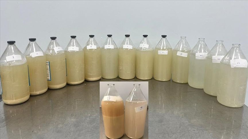 SAĞLIK
																														
								

								Bu işlemle hastalar yeniden rahat nefes alıyor: Akciğer yıkama yöntemi nedir, nasıl uygulanır?