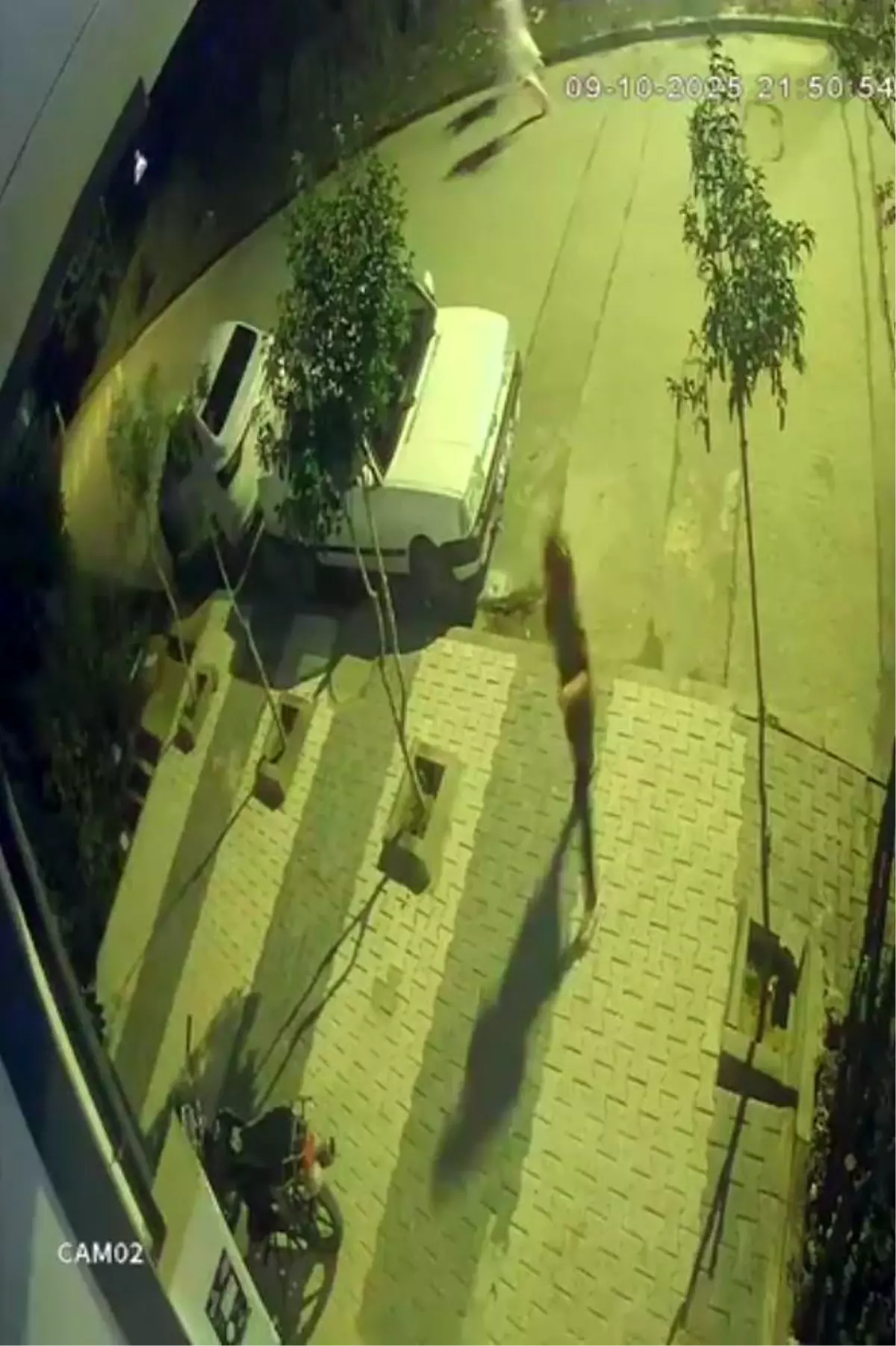 Freni Patlayan Araç, Oyun Oynayan Çocukların Üzerine Daldı