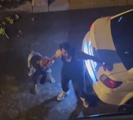 GÜNDEM İstanbul’da gezdirilen pitbull sahibine saldırdı! Vatandaşlar korku dolu anlar yaşadı GÜNDEM İstanbul’da gezdirilen pitbull sahibine saldırdı! Vatandaşlar korku dolu anlar yaşadı