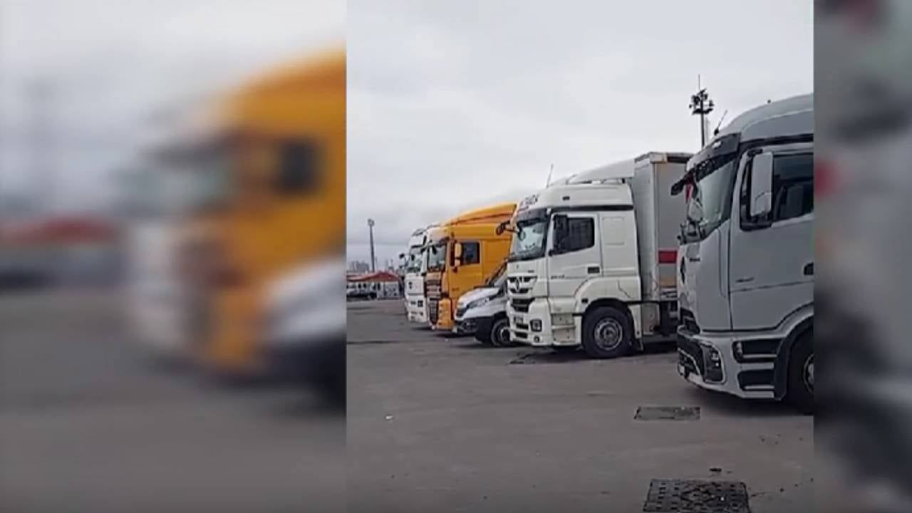 Kokarca böceği nedeniyle 95 TIR şoförü limanda bekletiliyor