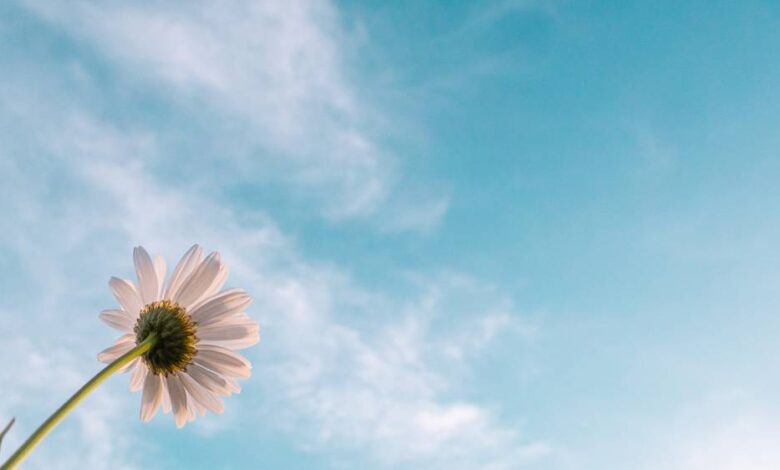 Hidayetin Açıklığı ve Belirginliği Üzerine Değerlendirme