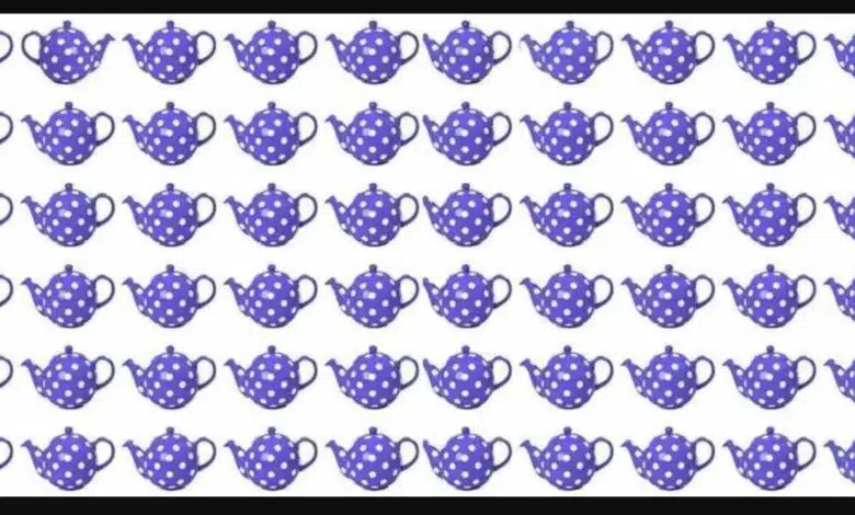 Farklı Demliği Bulma Zeka Testi: 6 Saniyede Çözüm