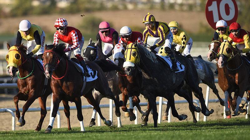 Ankara’da 45’inci Cumhuriyet ve 87’nci Koşu Gerçekleşti