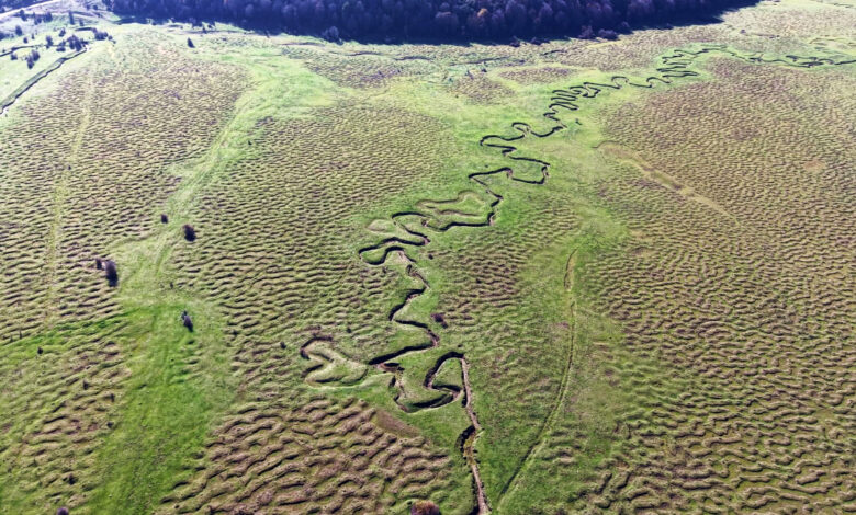 Karagöl Yaylası’nın Doğal Güzellikleri Havadan Görüntülendi