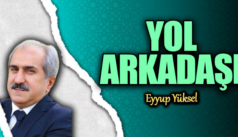 Bir Günlükte Yol Arkadaşının Düşünceleri Bir Günlükte Yol Arkadaşının Düşünceleri