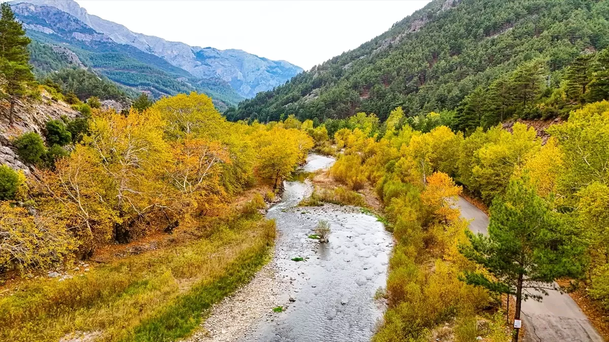 Belemedik Tabiat Parkı Sonbahar Renkleriyle Göz Kamaştırıyor