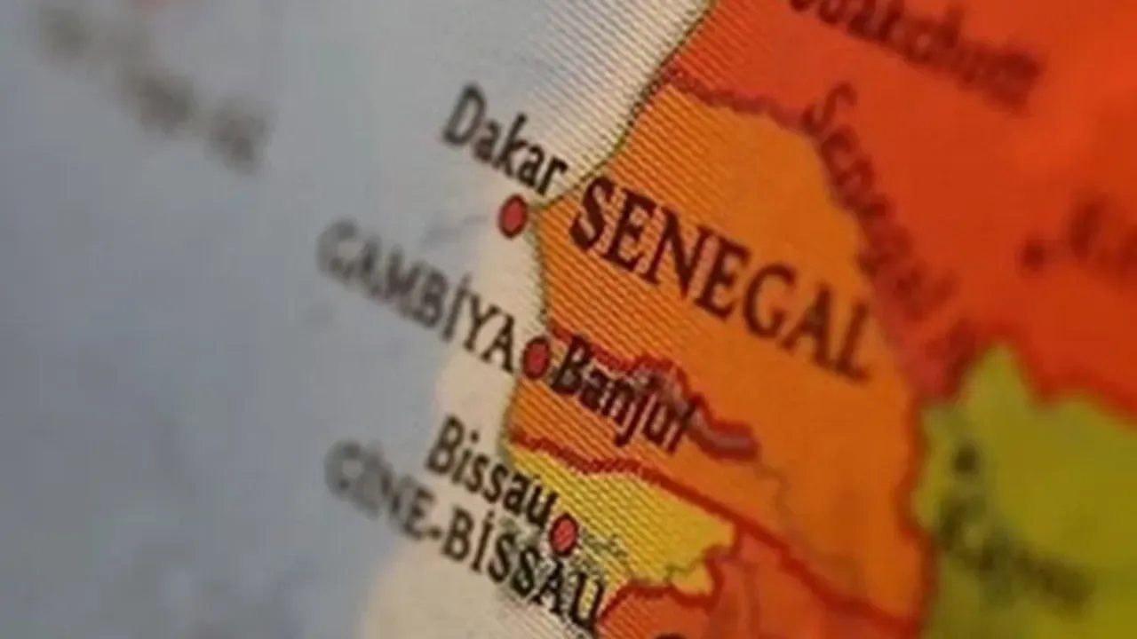 Senegal’de Rift Vadisi Ateşi Salgını: Ölü Sayısı 29’a Senegal’de Rift Vadisi Ateşi Salgını: Ölü Sayısı 29’a